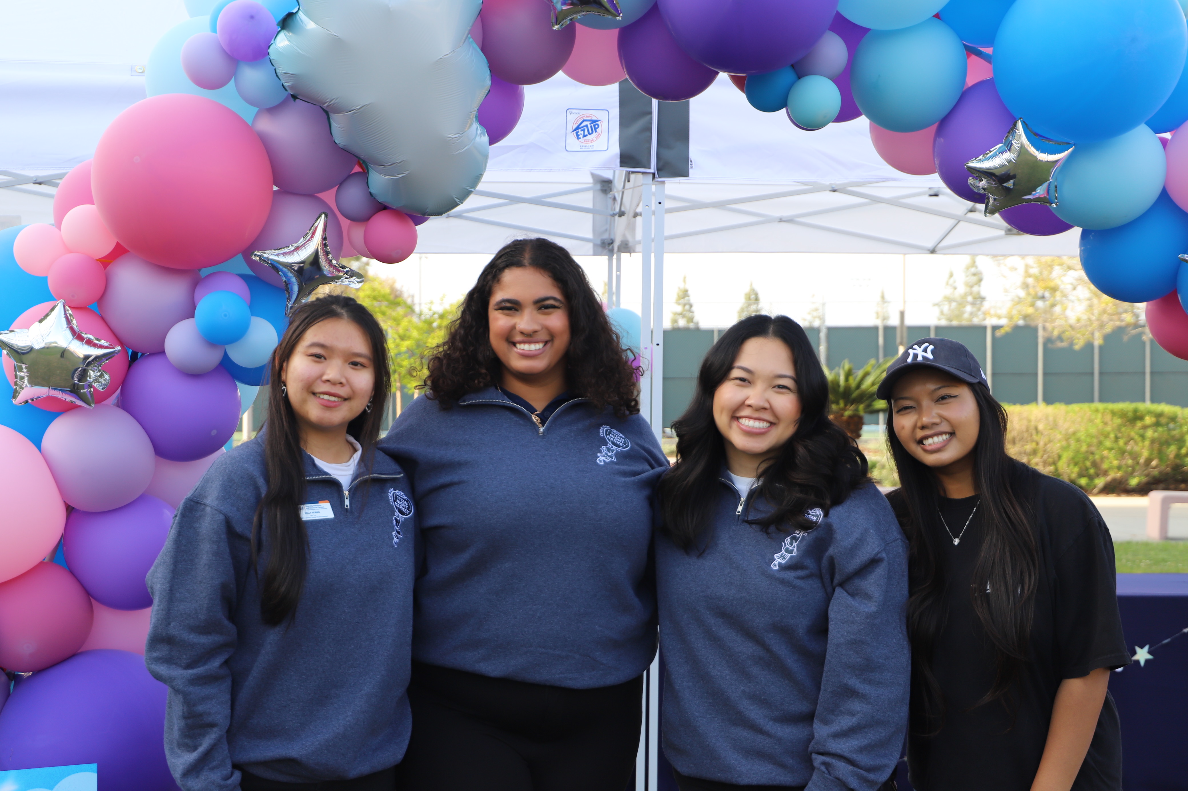 APARC project preview